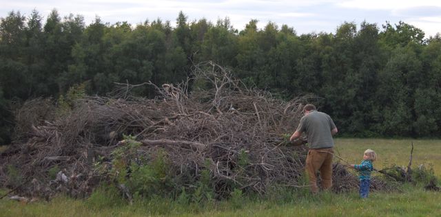 math-woodpile-plaw-hatch