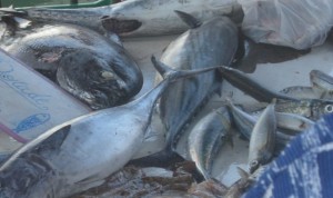 fish-barbecue