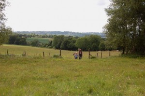 Biodynamic farming at Plaw Hatch Farm