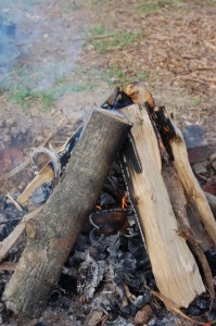 Campfire made from a teepee of wood