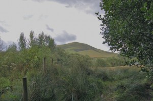 The view from Gwalia Farm campsite 