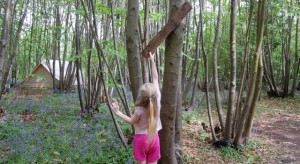 Adjusting a sign in the woods at Welsummer campsite