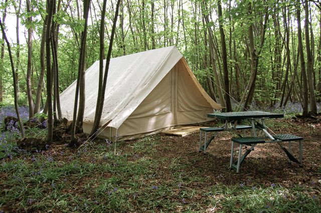 Ridge tent in the woods of Welsummer campsite