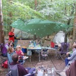 How to put up a tarp in a wood